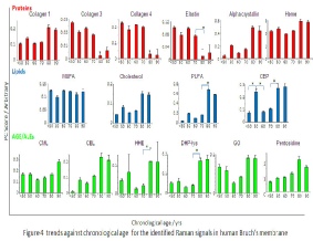 Bar graphs showing age related changes in a wide range of filter components and stressors, with many protein degradation products increasing dramatically with age