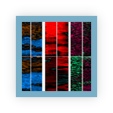 Thumbnail showing changes in Raman maps of several chemical constituents of retina in retinitis pigmentosa.