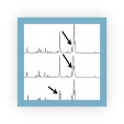 Comparing simulated Raman spectra using different basis sets with experimentally recorded data, showing excellent peak position agreement and weak intensity agreement